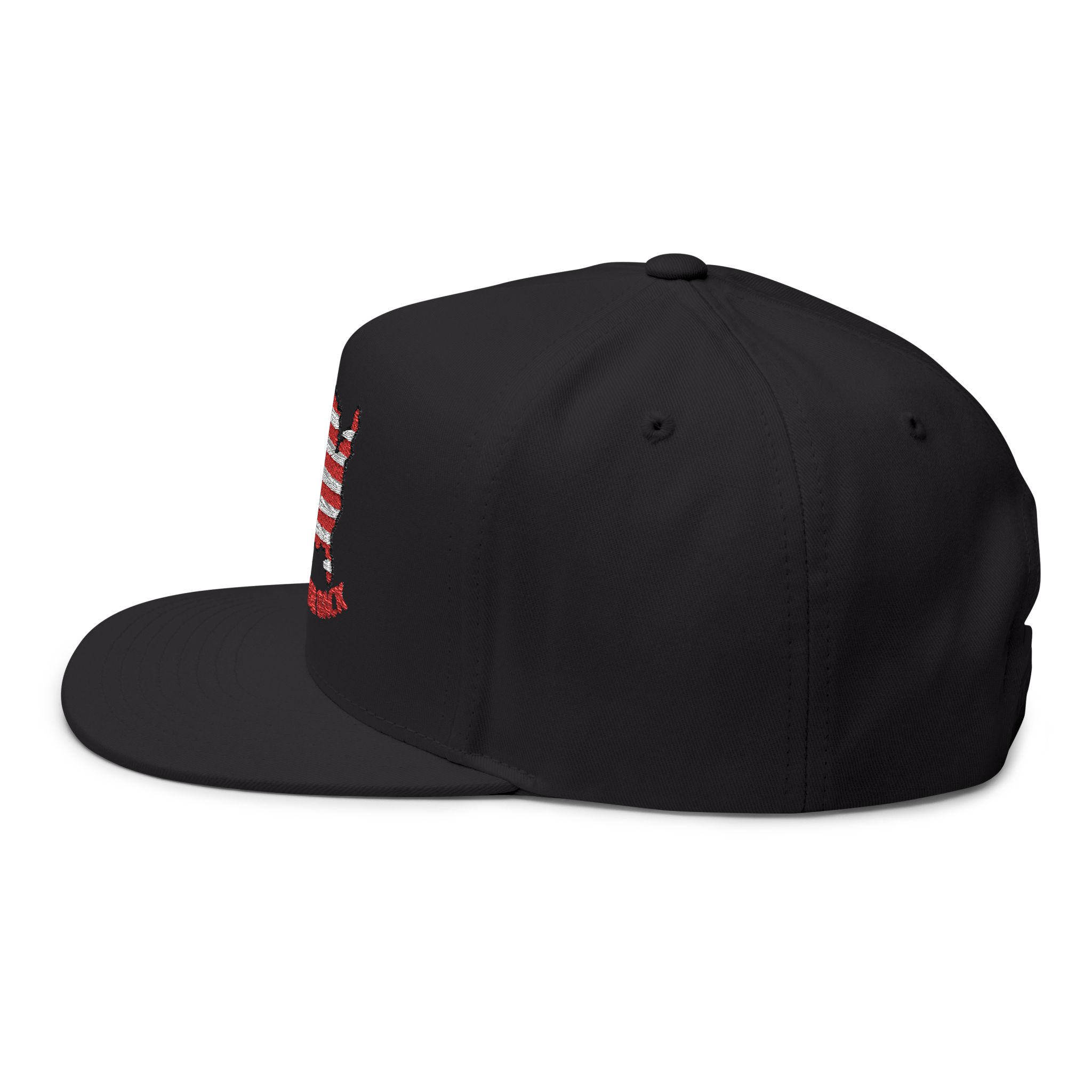 "Taking Her Back" Embroidered Flat Bill Cap - Image 3