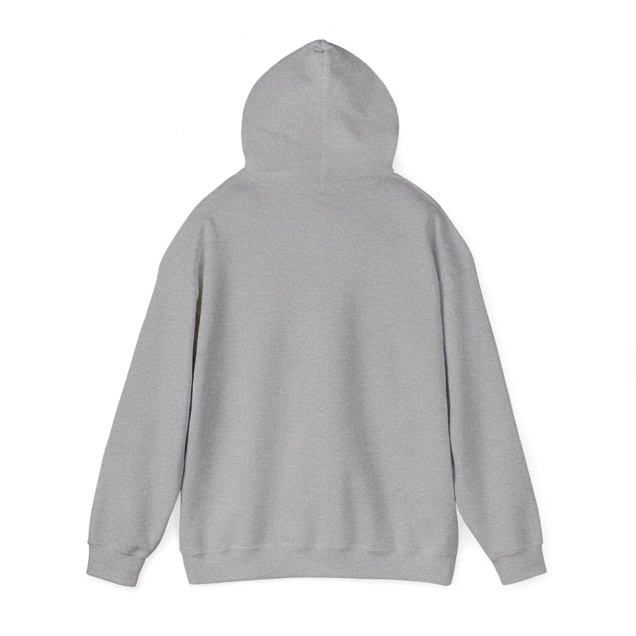 Patriotic Hooded Sweatshirt: Taking Her Back, Unisex Hoodie, American Pride Pullover, Casual Streetwear, Gift for Freedom Lovers - Image 19