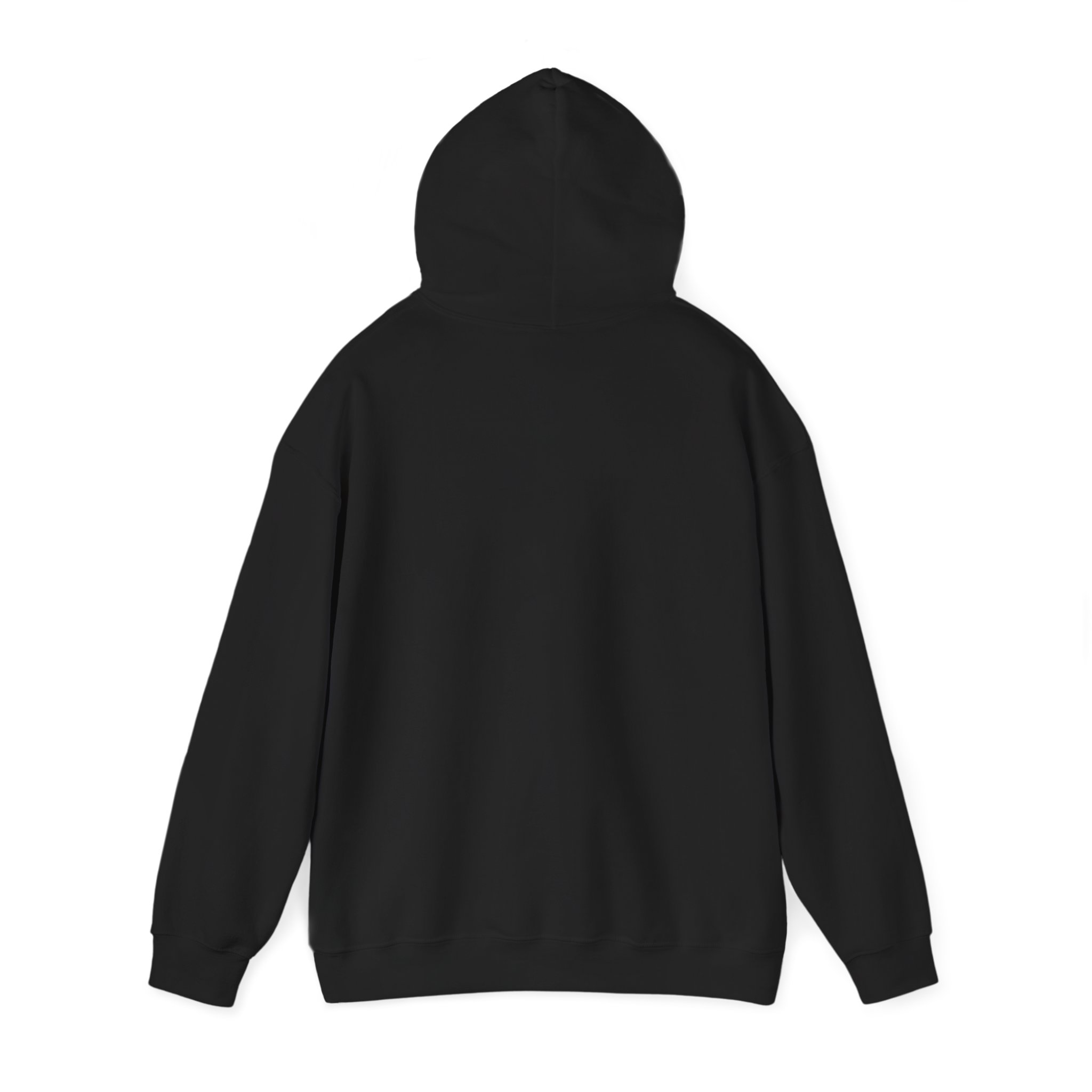 Patriotic Hooded Sweatshirt: Taking Her Back, Unisex Hoodie, American Pride Pullover, Casual Streetwear, Gift for Freedom Lovers - Image 15