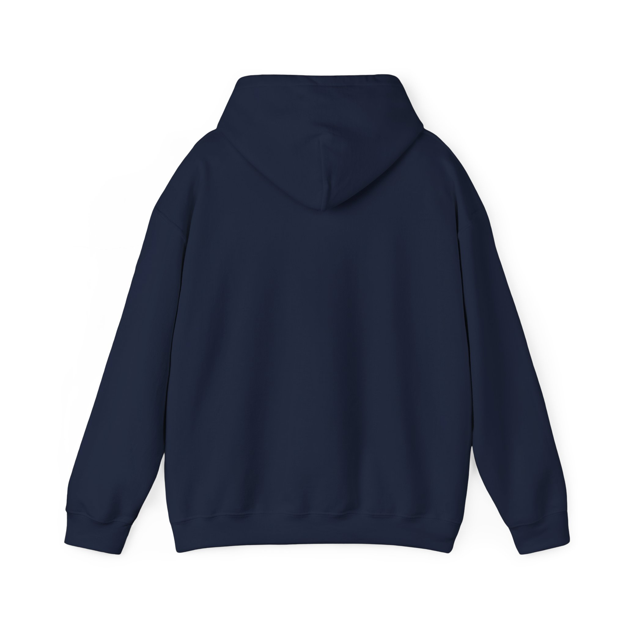Patriotic Hooded Sweatshirt: Taking Her Back, Unisex Hoodie, American Pride Pullover, Casual Streetwear, Gift for Freedom Lovers - Image 34