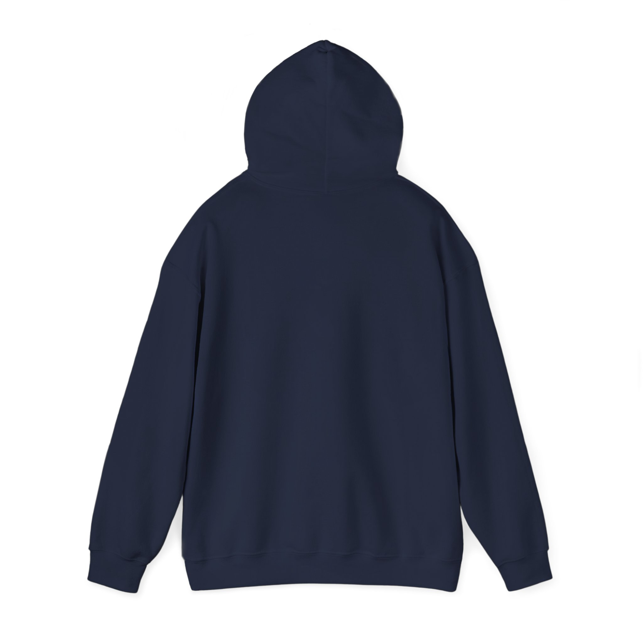 Patriotic Hooded Sweatshirt: Taking Her Back, Unisex Hoodie, American Pride Pullover, Casual Streetwear, Gift for Freedom Lovers - Image 35